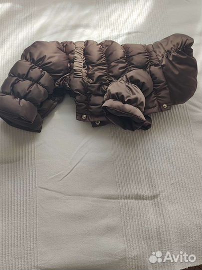 Зимний комбинезон M Puppy Angel Мальчик