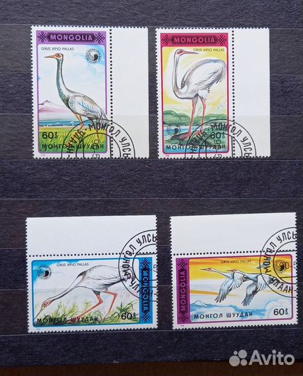 Почтовые марки. Фауна