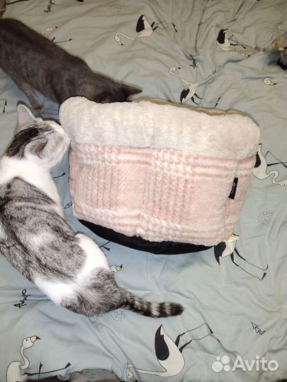 Лежанка для кошек