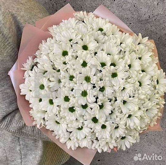 Хризантема. Букеты Цветы доставка
