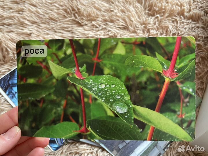 Умница Методическое пособие Мир на Ладошке