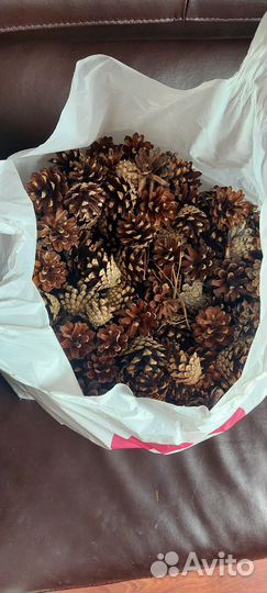 Шишки сосновые мешок