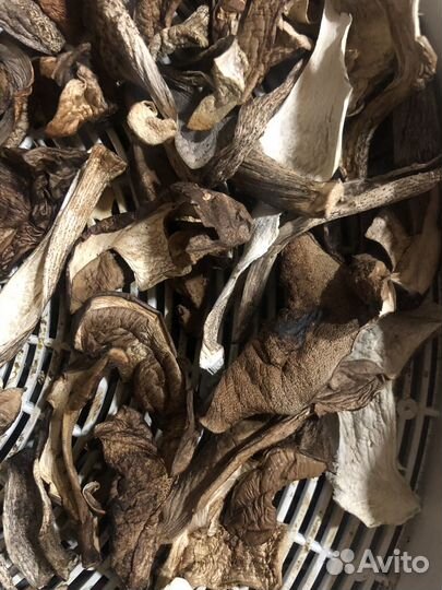 Сушеные грибы