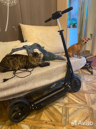 Электросамокат kugoo s3 Jilong