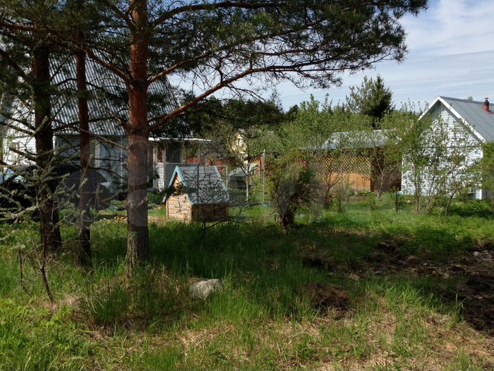 Участок 6 сот. (СНТ, ДНП)