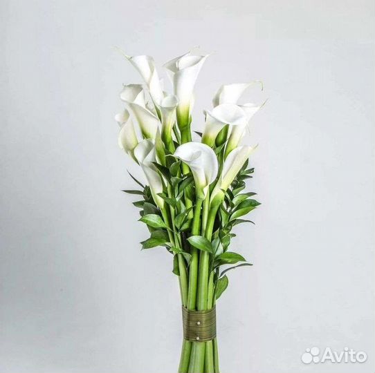 Каллы букет