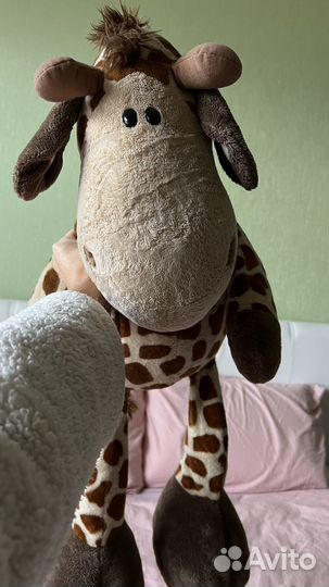 Семья жирафикоа