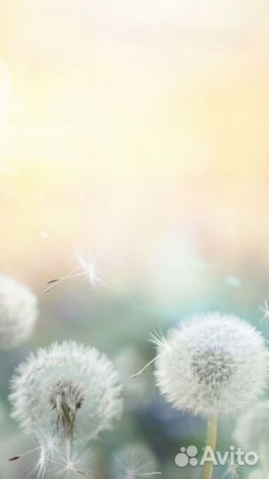 Дорога к изобилию Персональный расчёт по дате ваше