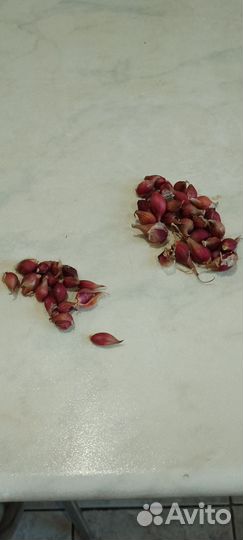 Многоярусный лук