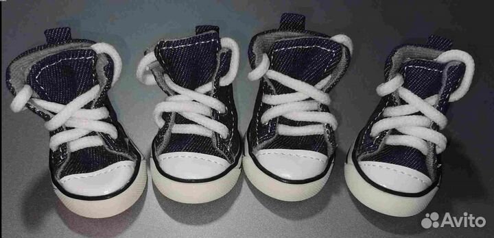 Кеды для собаки