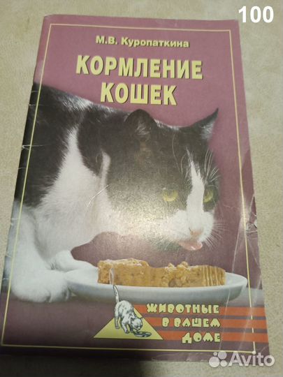 Куропаткина. Кормление кошек. 2005