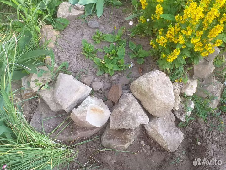 Камни для альпийской горки ландшафта