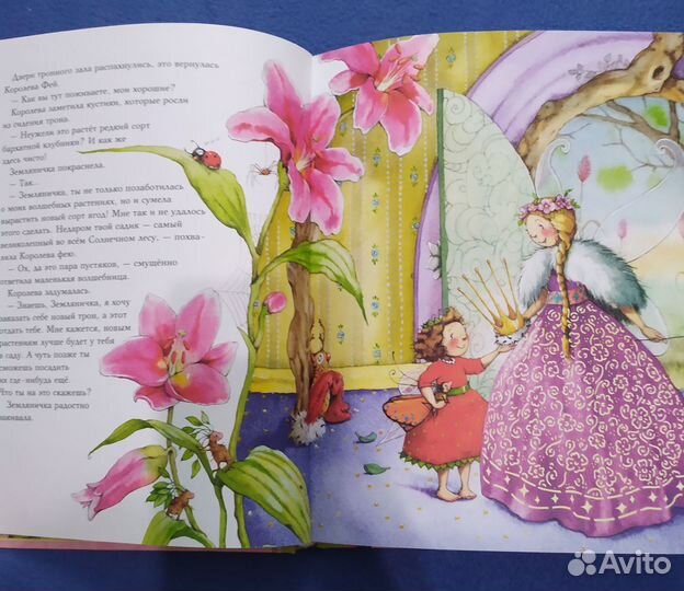 Земляничная фея. Круглый год в солнечном лесу