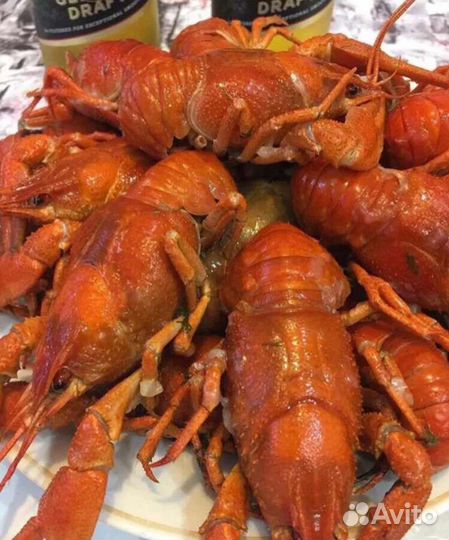 Живые раки розница и оптом