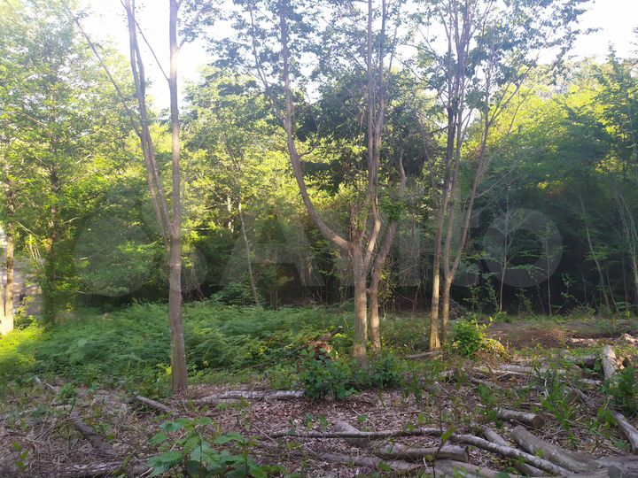 Участок 5 сот. (СНТ, ДНП)