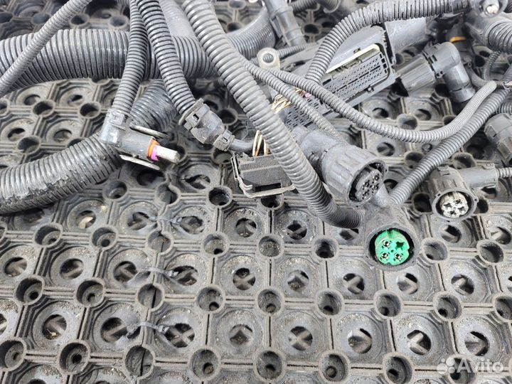 Электропроводка двигателя Man TGA