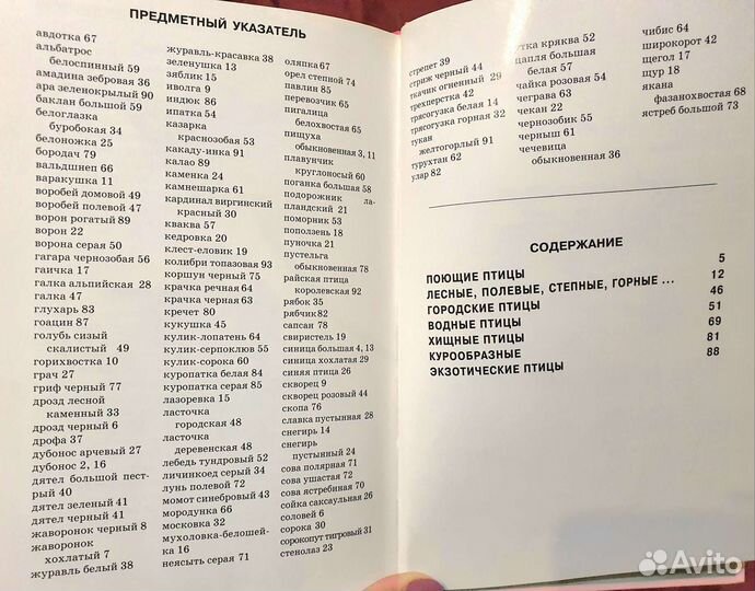 Детские книги о животных. Серия Узнай мир