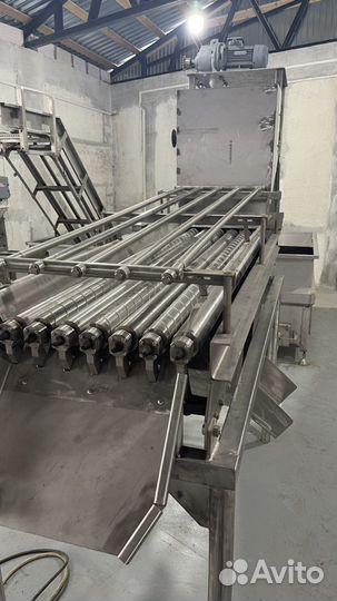 Сортировщик рыбы, рольганг, мойка под рыбу