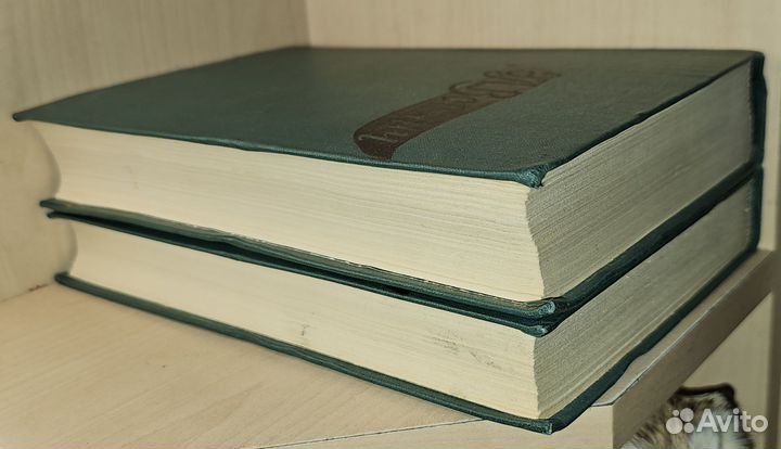 Войнич Э.Л. Избранные произведения в двух томах. П