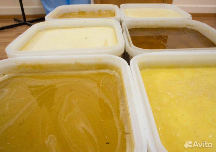 2024 Мёд натуральный алтайский оптом