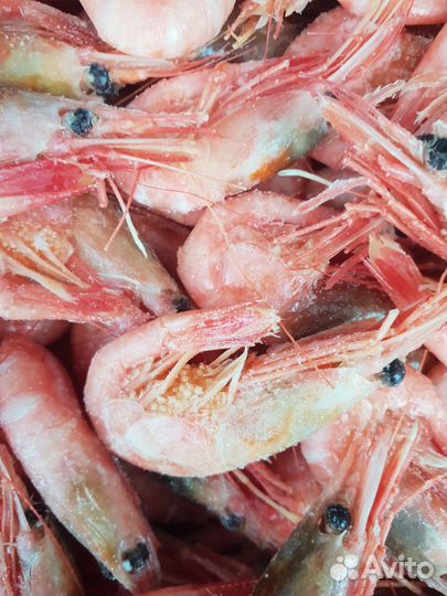 Креветка северная 90/120, 60/80