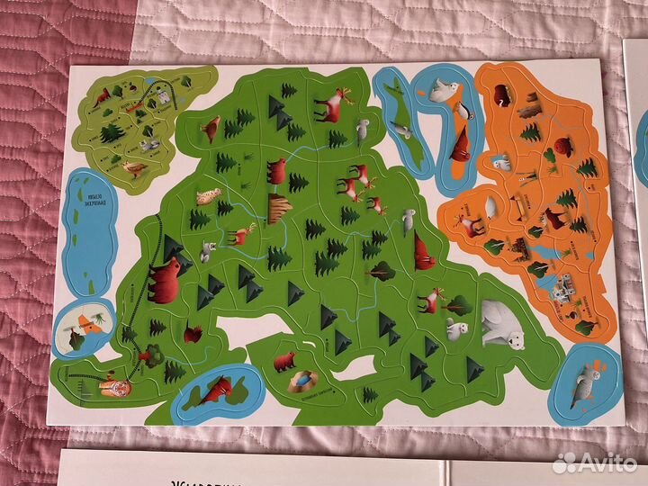 Карта России магнитная