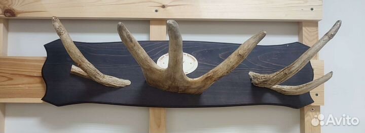 Вешалка из рога лося