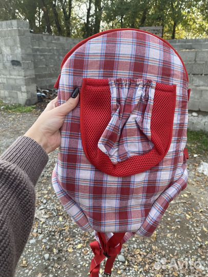 Коляска трансформер Alis-Amelia