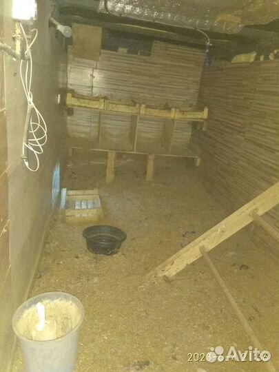 Курятник зимний