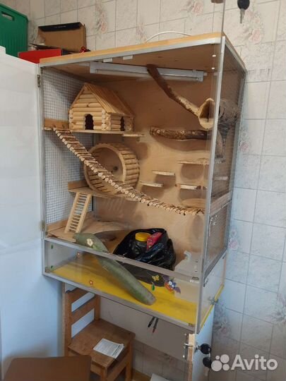 Витрина для грызунов