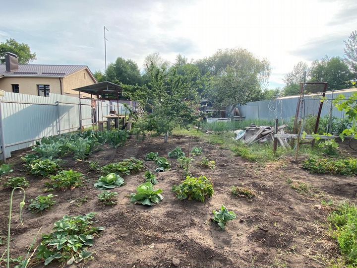 Участок 6 сот. (СНТ, ДНП)