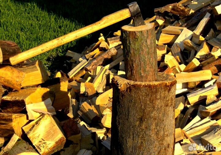 Дрова Береза
