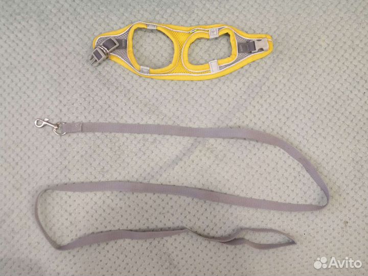 Шлейка для кота