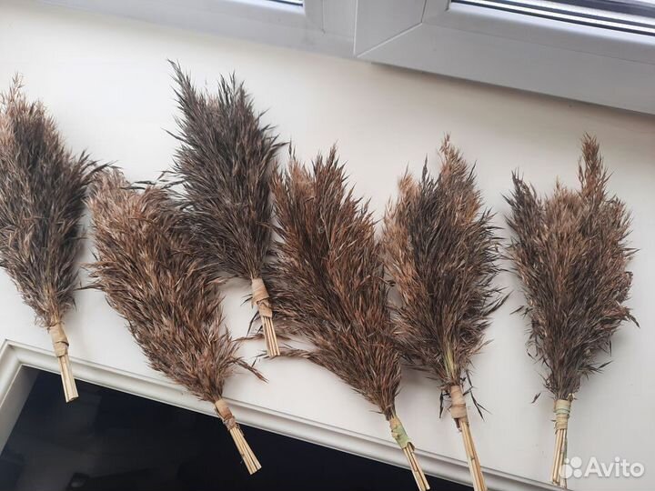 Сухоцветы, венки камыши прекати-поле