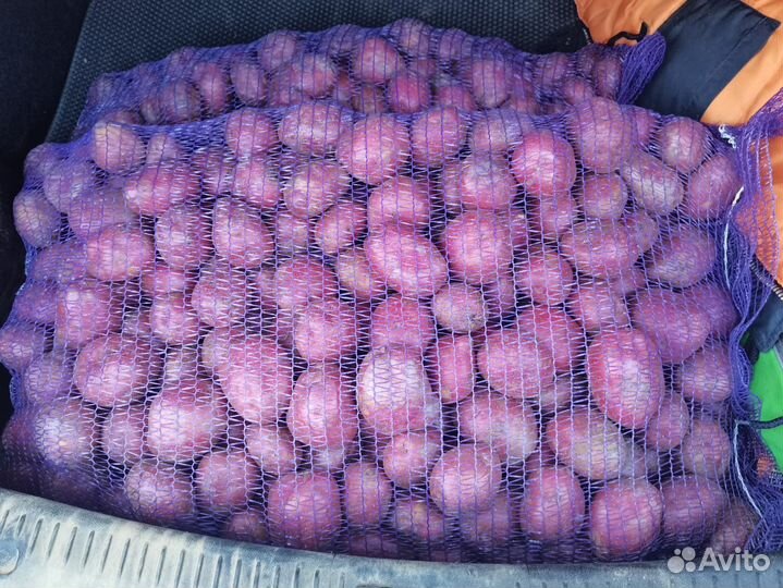 Картофель мытый