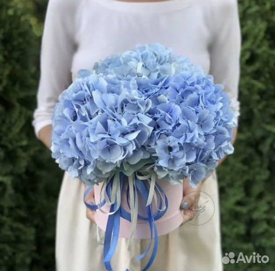 Букеты из Голубой Гортензии 5шт с Доставкой