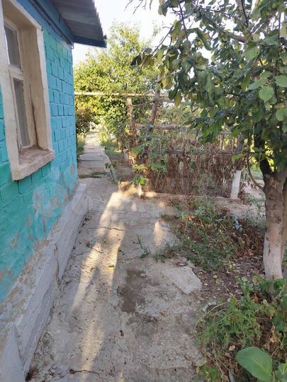 Дом 41 м² на участке 7 сот.