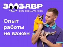 Продавец-кассир в зоомагазин (ТЦ "Талер")