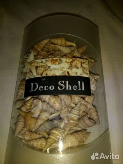Ракушки декоративные