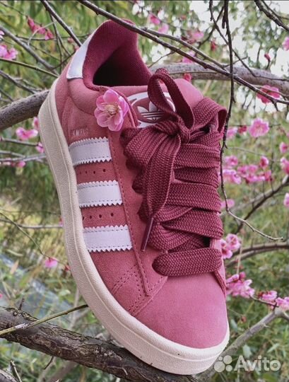 Adidas Campus 00s