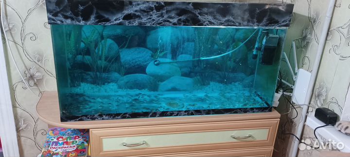 Аквариум