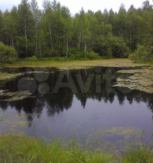 Участок 8,4 сот. (СНТ, ДНП)