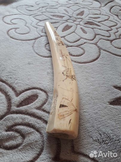 Копия клык бивень моржа