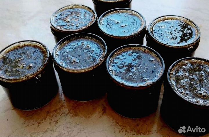 Мед для эрекции