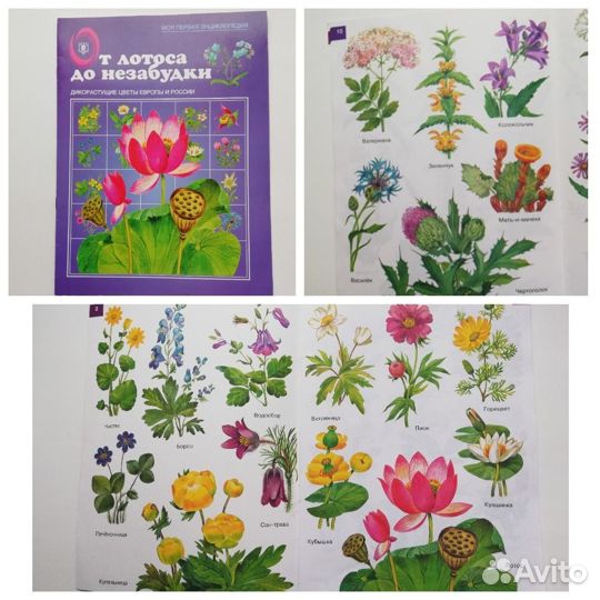 Детские книги СССР о природе