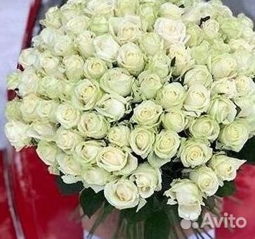 Высокие розы 150 160 170 180 190см доставка Москва