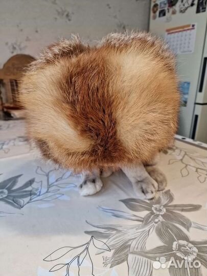 Шапка ушанка из лисы, бу