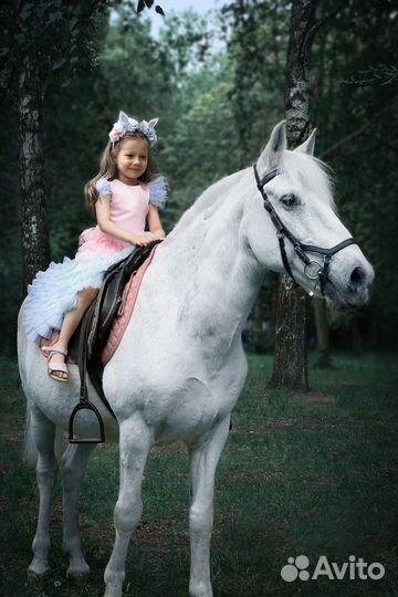 Катание на лошадях, фотосессии, праздники