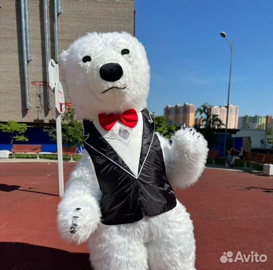 Аниматор на праздник/Живая открытка/Ростовая кукла