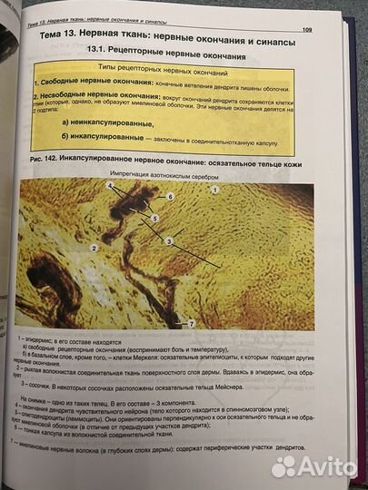 Атлас по гистологии,цитологии и эмбриологиии